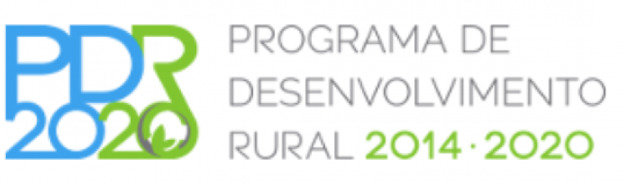Projeto PDR 2020