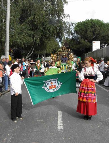 Feiras Novas 2011