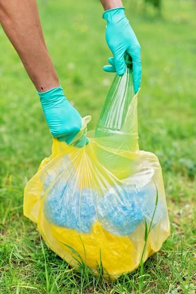 Sociedade Ponto Verde cria prémio "Junta-te ao Gervásio"